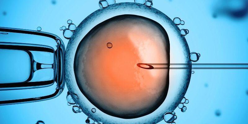 The Benefits of Prioritizing Frozen Embryo Transfer