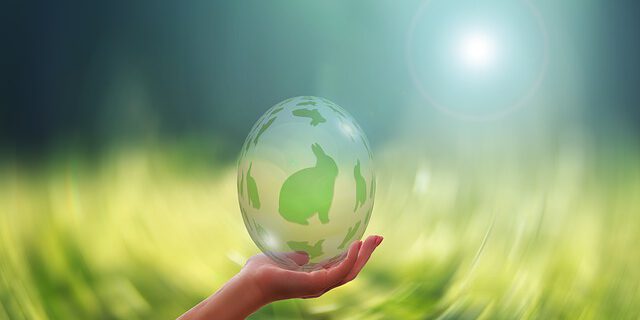 anonymous or known egg donation